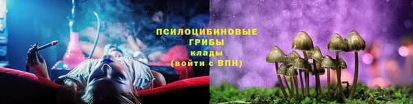 прущие грибы Козельск