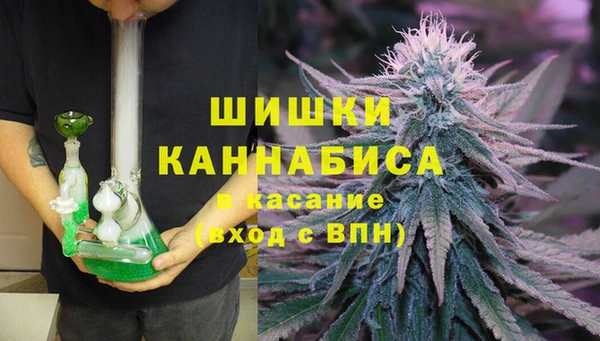 прущие грибы Козельск