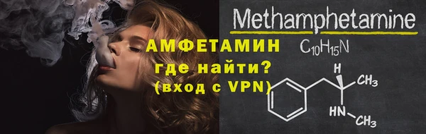 прущие грибы Козельск