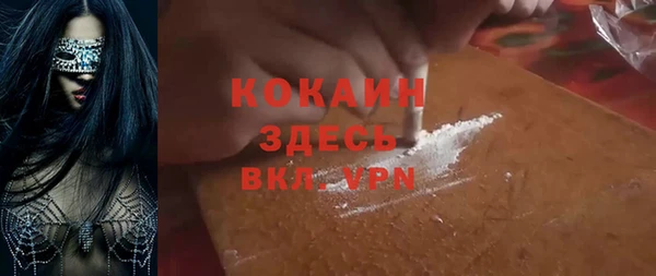 ПСИЛОЦИБИНОВЫЕ ГРИБЫ Коряжма