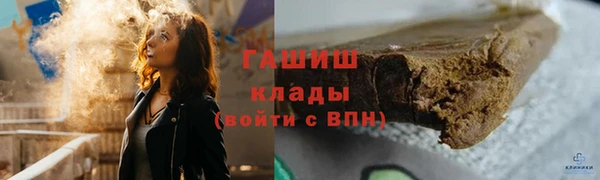 прущие грибы Козельск