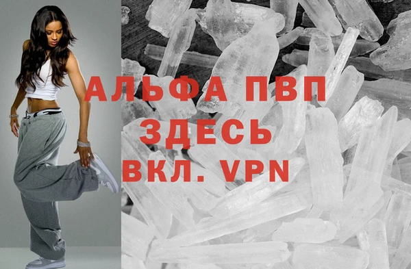 ПСИЛОЦИБИНОВЫЕ ГРИБЫ Коряжма