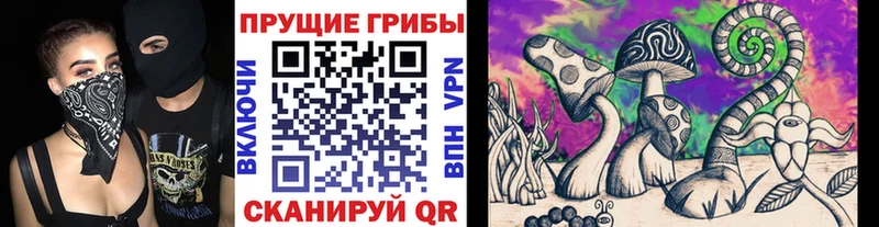 где купить наркотик  Медвежьегорск  Галлюциногенные грибы MAGIC MUSHROOMS 