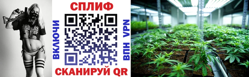 Бошки Шишки SATIVA & INDICA  Медвежьегорск 